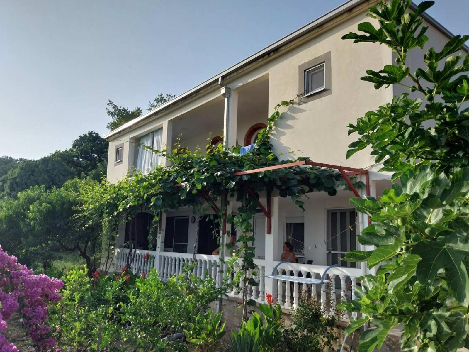 Vila Pogled Petrovac Luaran gambar