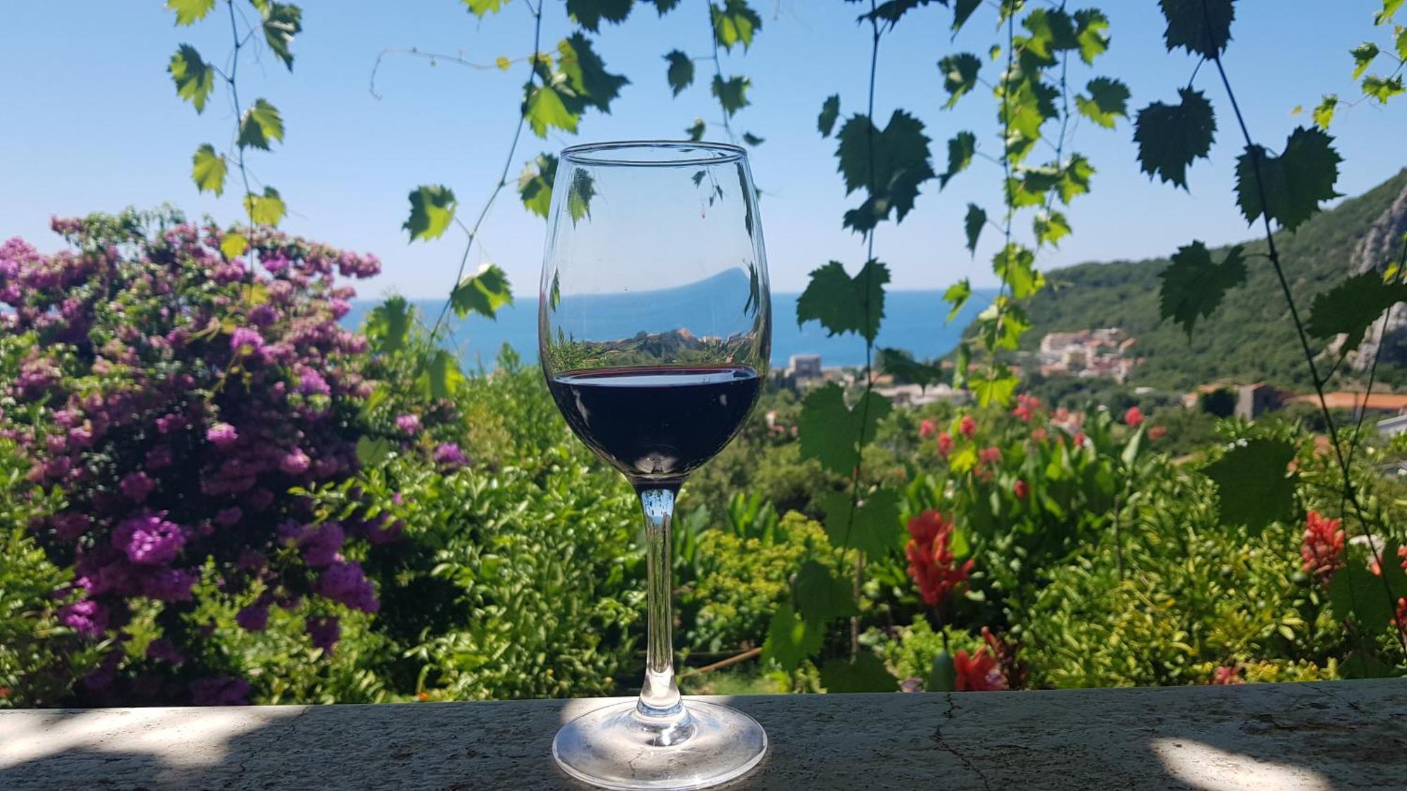 Vila Pogled Petrovac Luaran gambar